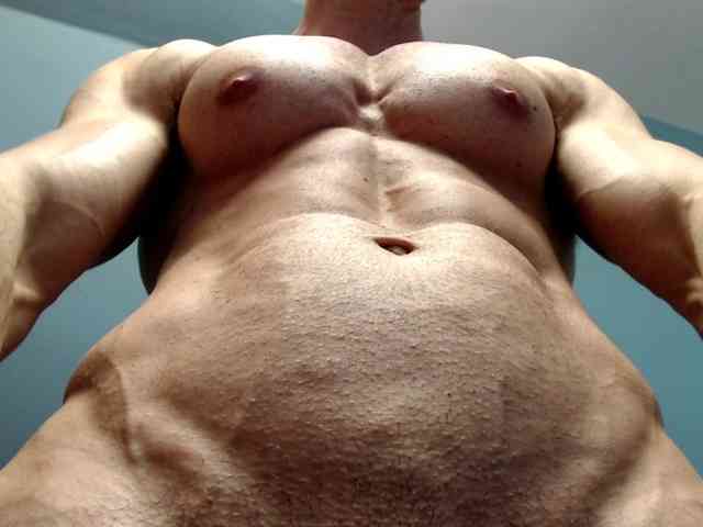 flexhard1 flexhard1