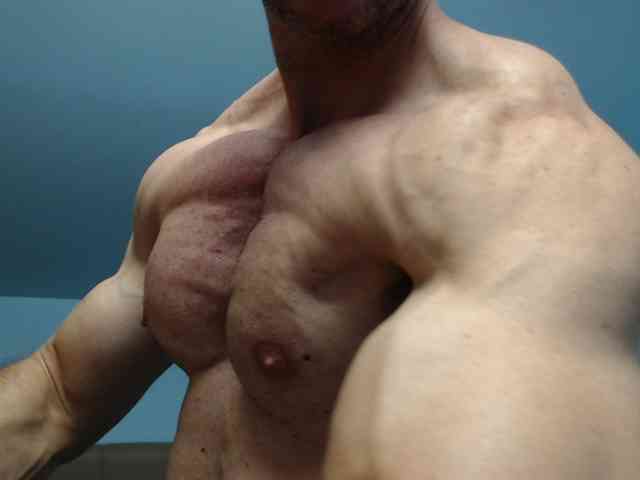 flexhard1