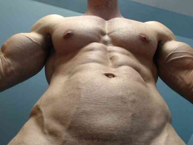 flexhard1