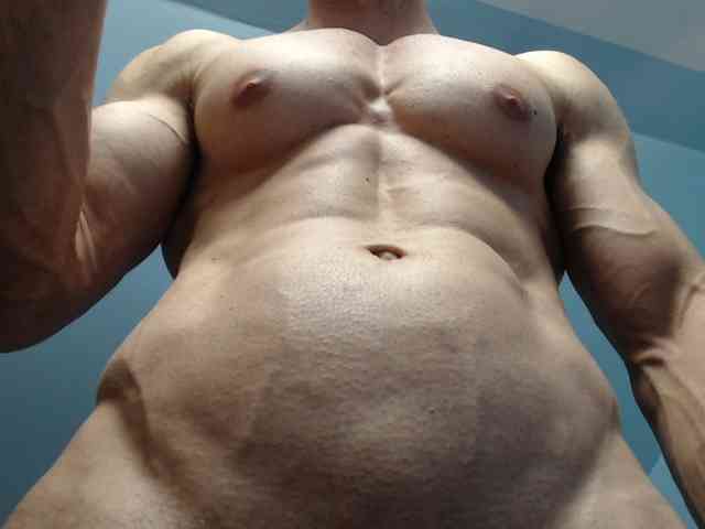 flexhard1 flexhard1