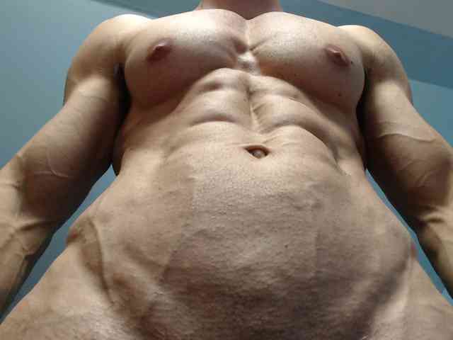 flexhard1
