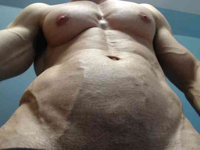 flexhard1 flexhard1