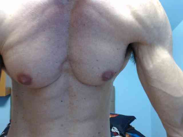 flexhard1 flexhard1