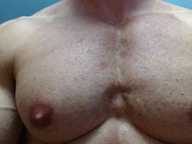 flexhard1