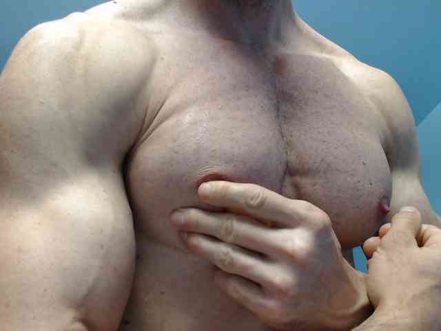 flexhard1