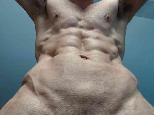 flexhard1 flexhard1