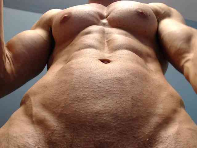 flexhard1 flexhard1