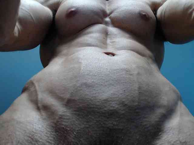 flexhard1