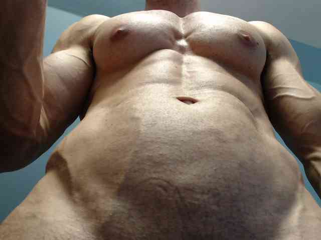 flexhard1
