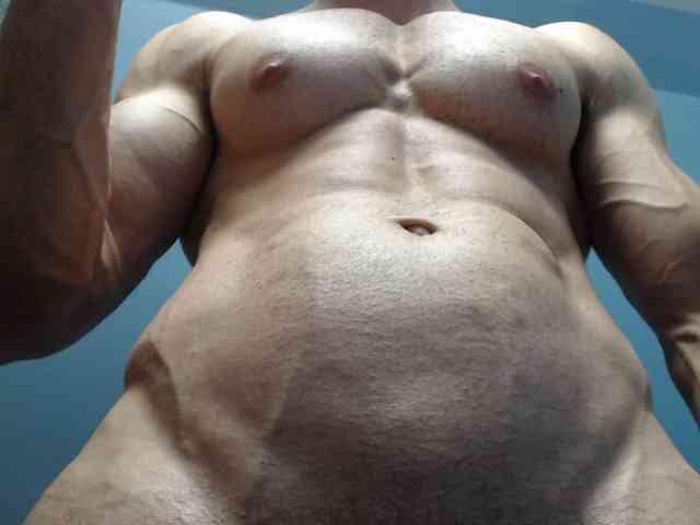flexhard1 flexhard1