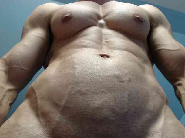 flexhard1 flexhard1