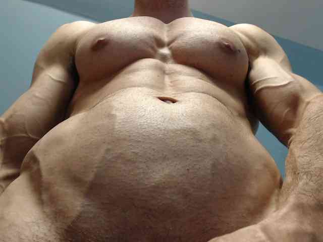 flexhard1