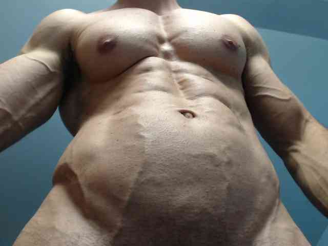 flexhard1