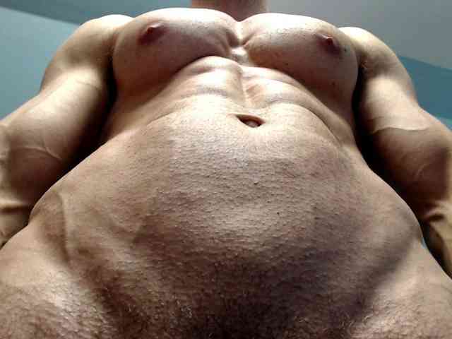 flexhard1