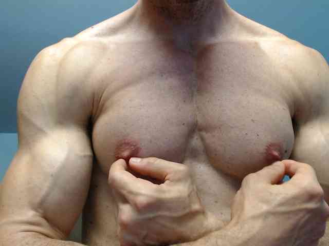 flexhard1 flexhard1
