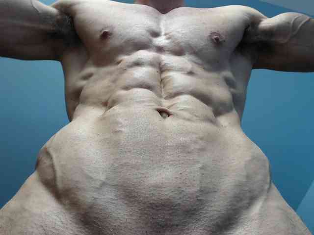 flexhard1 flexhard1