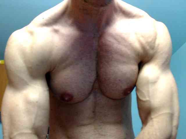 flexhard1