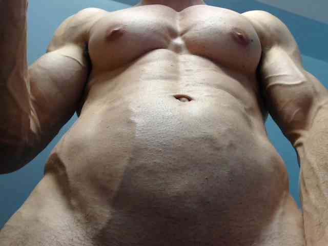 flexhard1