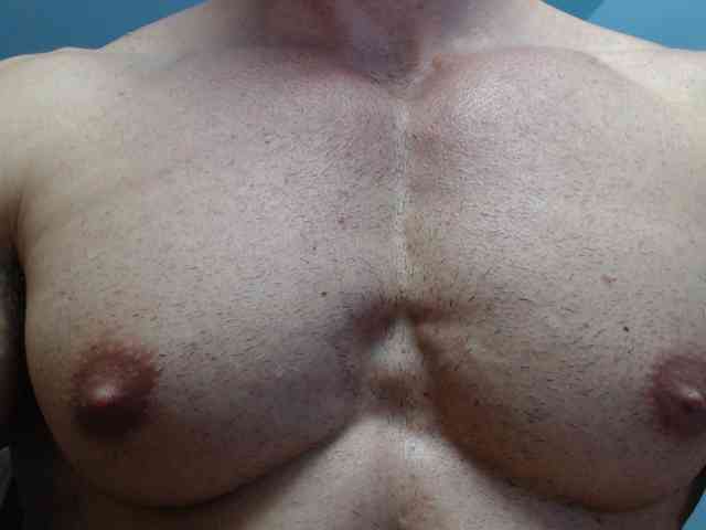 flexhard1