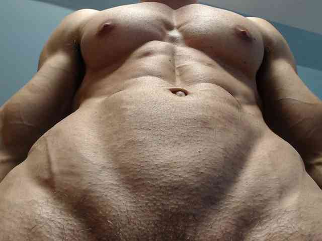 flexhard1 flexhard1