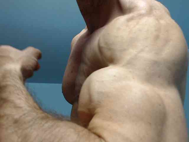 flexhard1