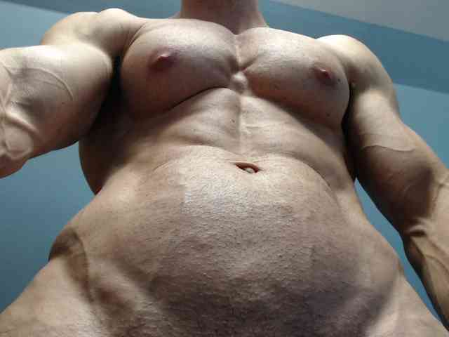 flexhard1