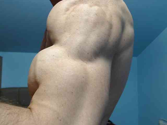 flexhard1 flexhard1