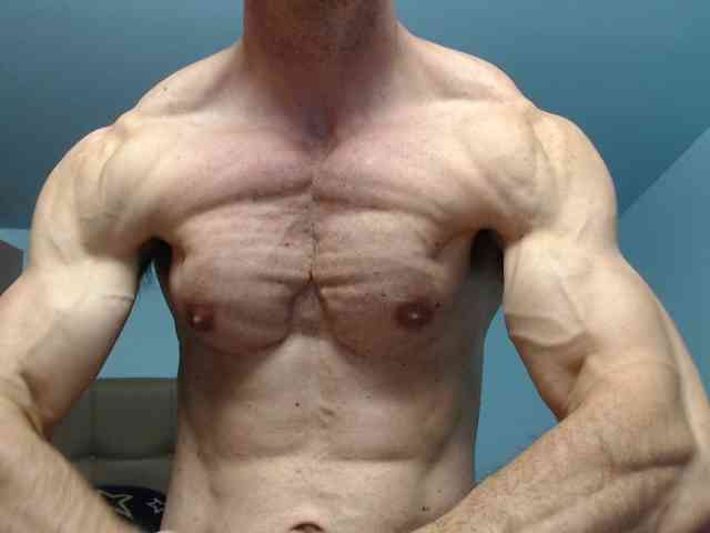 flexhard1