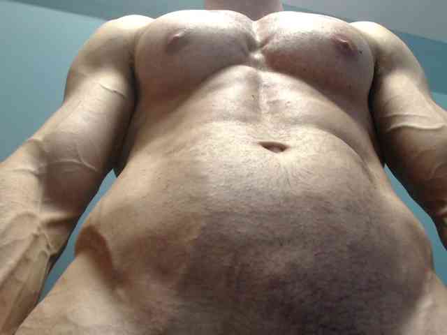 flexhard1