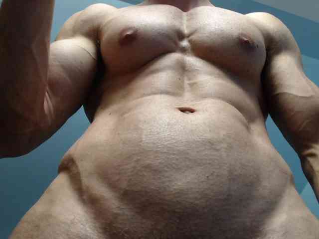flexhard1 flexhard1