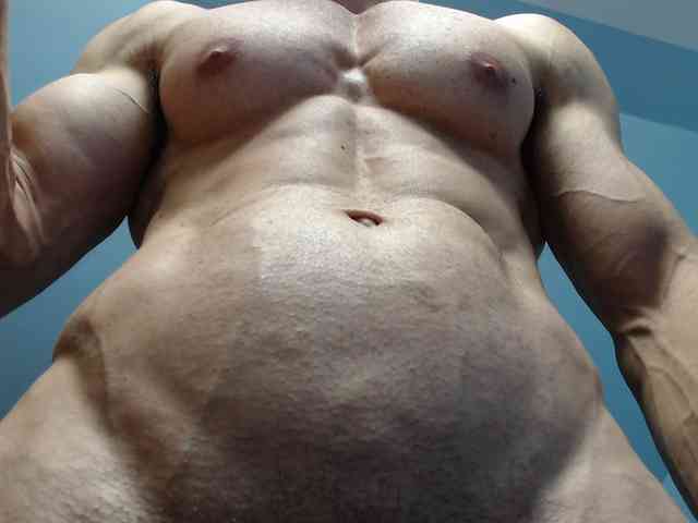 flexhard1