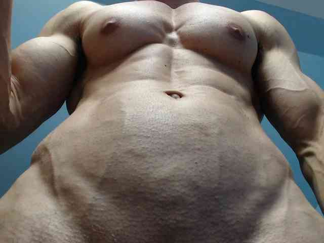 flexhard1