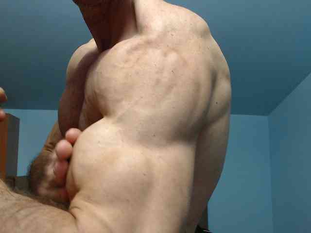 flexhard1