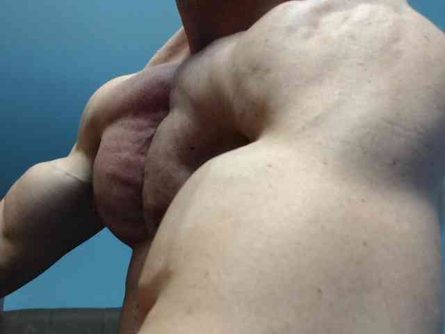 flexhard1