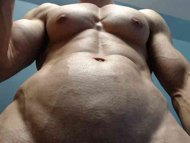 flexhard1 flexhard1