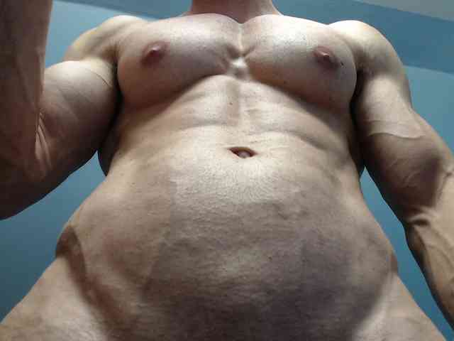 flexhard1 flexhard1