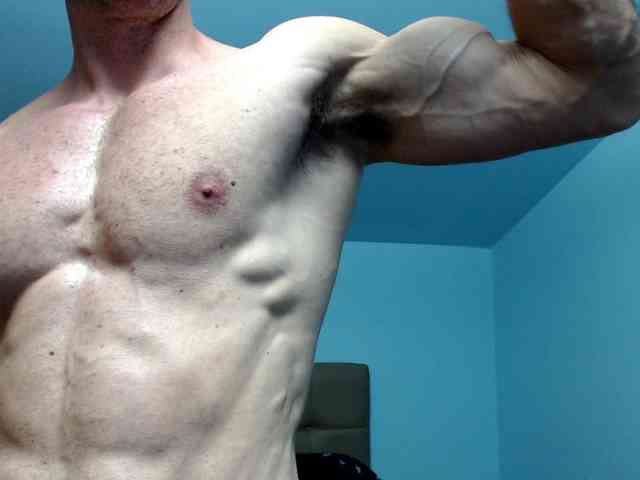 flexhard1 flexhard1