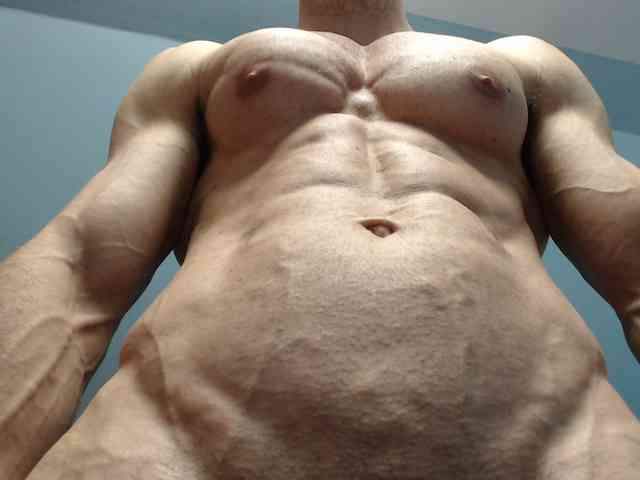 flexhard1
