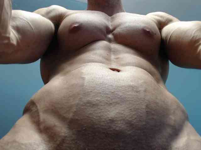 flexhard1 flexhard1