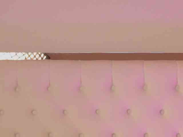 DrBarbie webcam