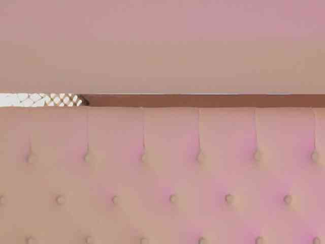 DrBarbie webcam