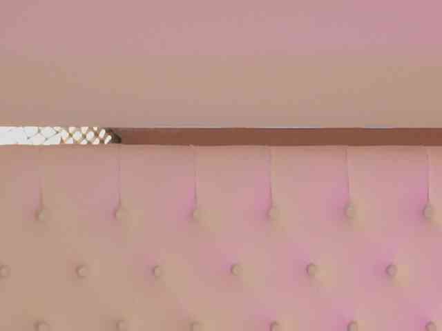 DrBarbie webcam