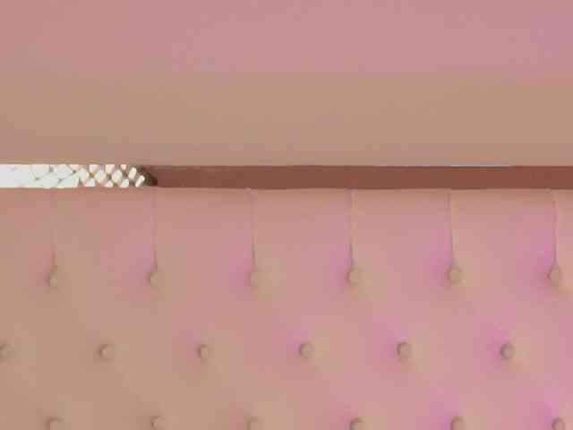 DrBarbie webcam