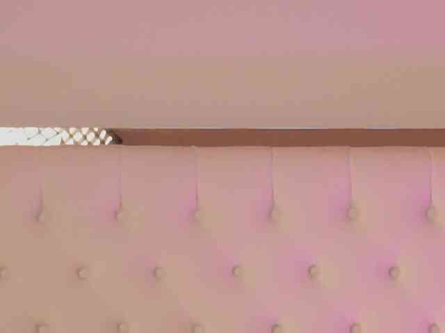 DrBarbie webcam