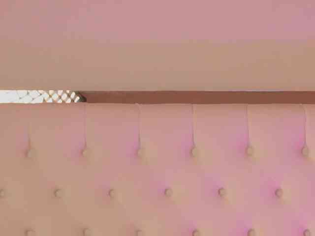 DrBarbie webcam