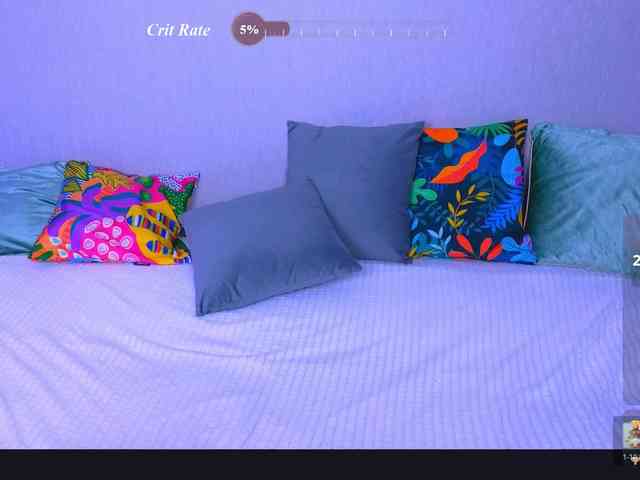 WhiteSoul webcam