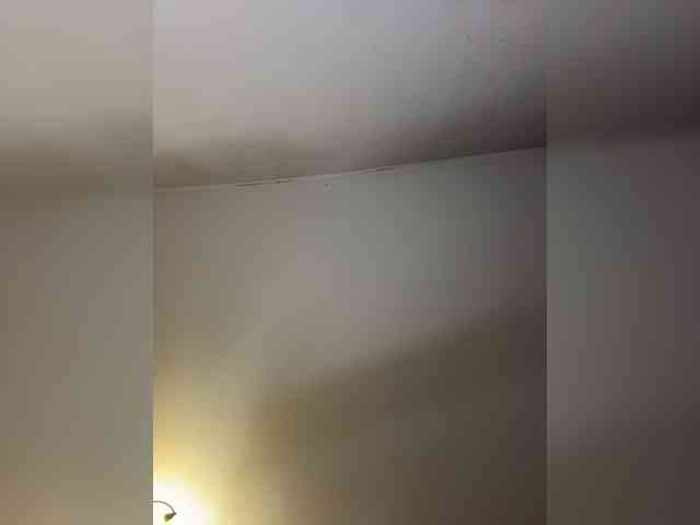 Marrryo webcam