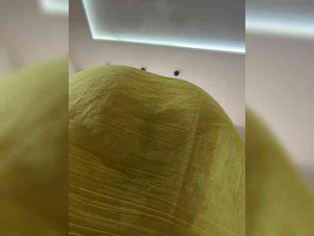 ILEM0609 webcam