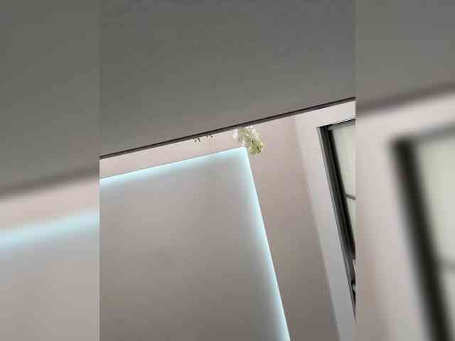 ILEM0609 webcam