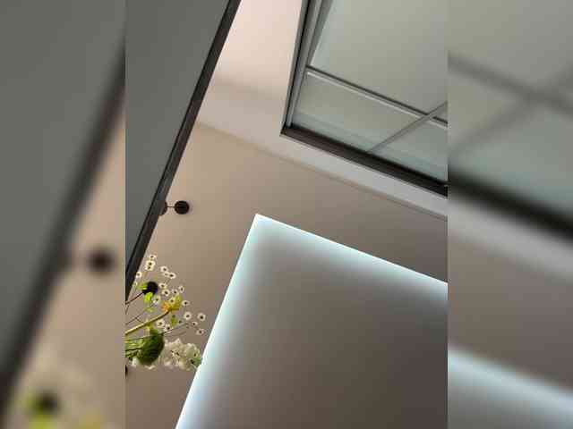 ILEM0609 webcam